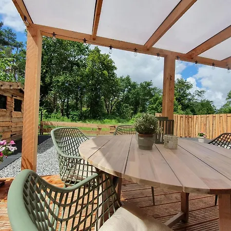 In Near Veluwe Forest *