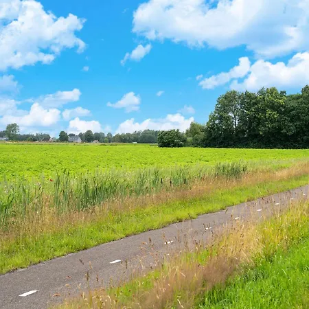 In Near Veluwe Forest