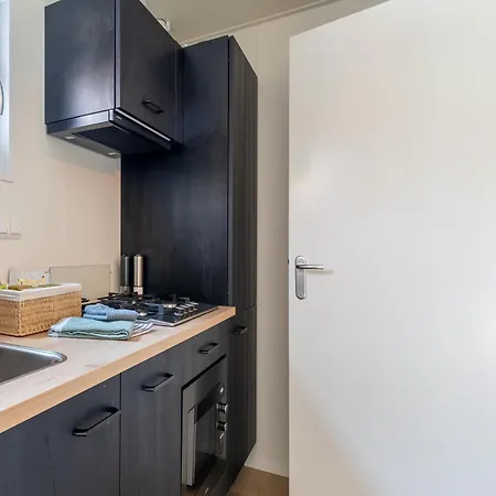 In Near Veluwe Forest