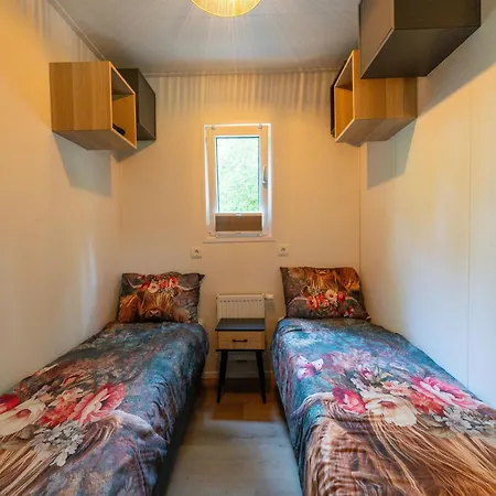 In Near Veluwe Forest *