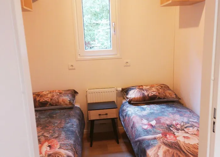 In Near Veluwe Forest * Hattemerbroek