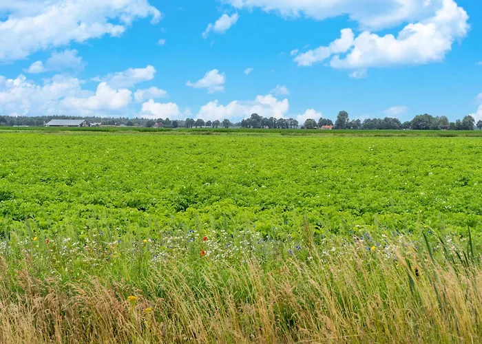 In Near Veluwe Forest Hattemerbroek
