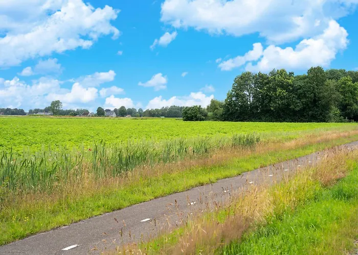 In Near Veluwe Forest