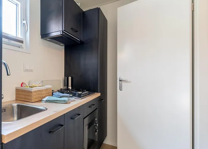 In Near Veluwe Forest