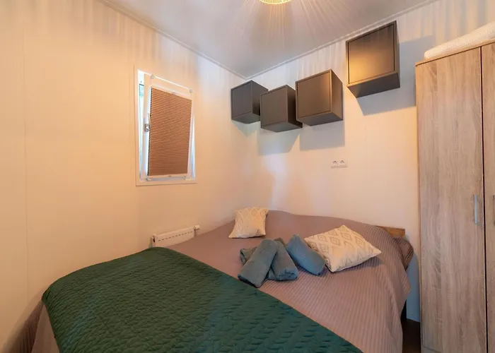 In Near Veluwe Forest *