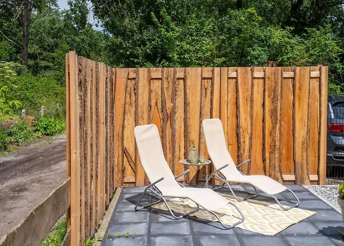 In Near Veluwe Forest Hattemerbroek