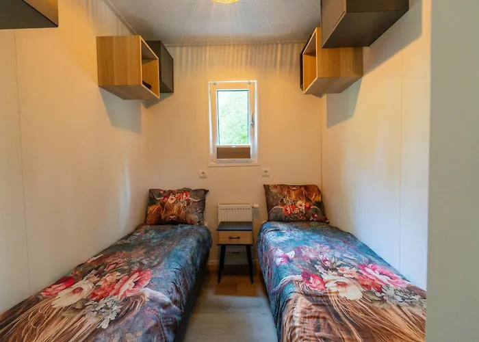 In Near Veluwe Forest *