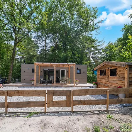 In Near Veluwe Forest