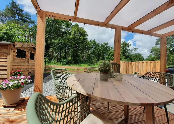 In Near Veluwe Forest *