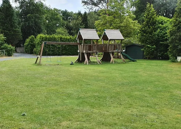 In Near Veluwe Forest