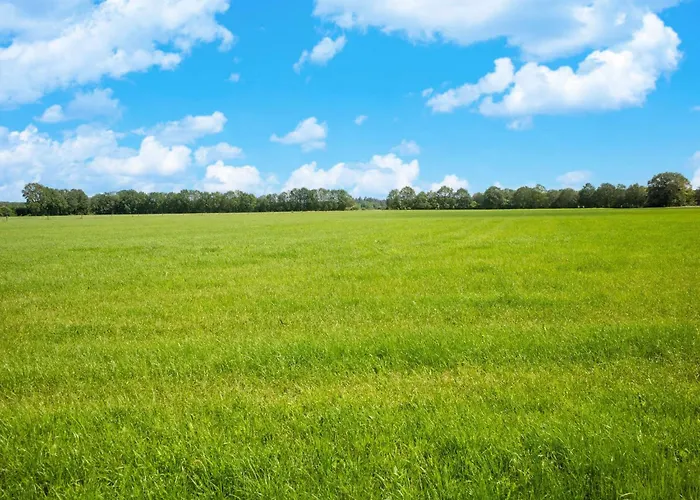 Semesterbostad In Near Veluwe Forest *