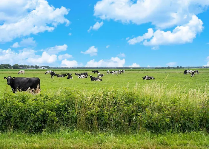 In Near Veluwe Forest * Hattemerbroek