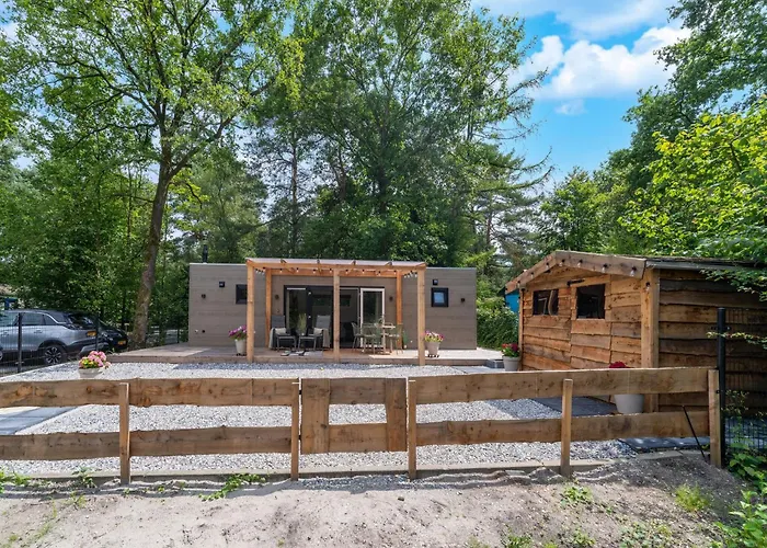 In Near Veluwe Forest